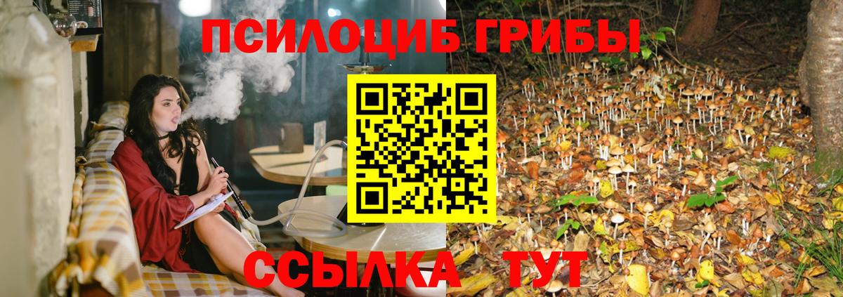 Псилоцибиновые грибы MAGIC MUSHROOMS  что такое   Карасук 