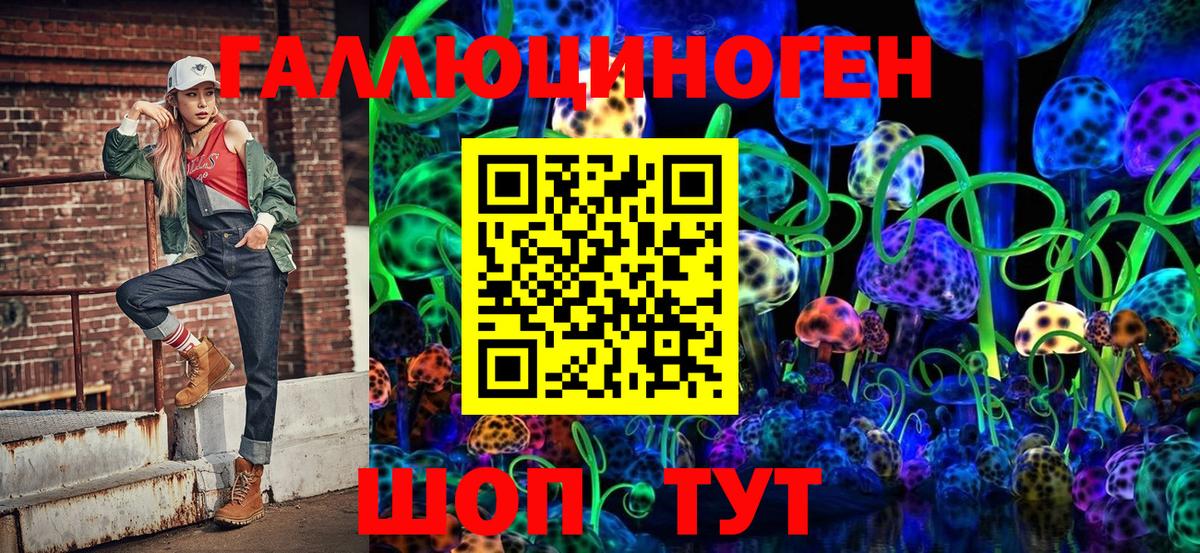 Галлюциногенные грибы Psilocybe Карасук