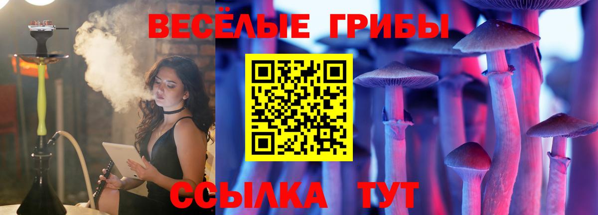 Галлюциногенные грибы Cubensis Карасук